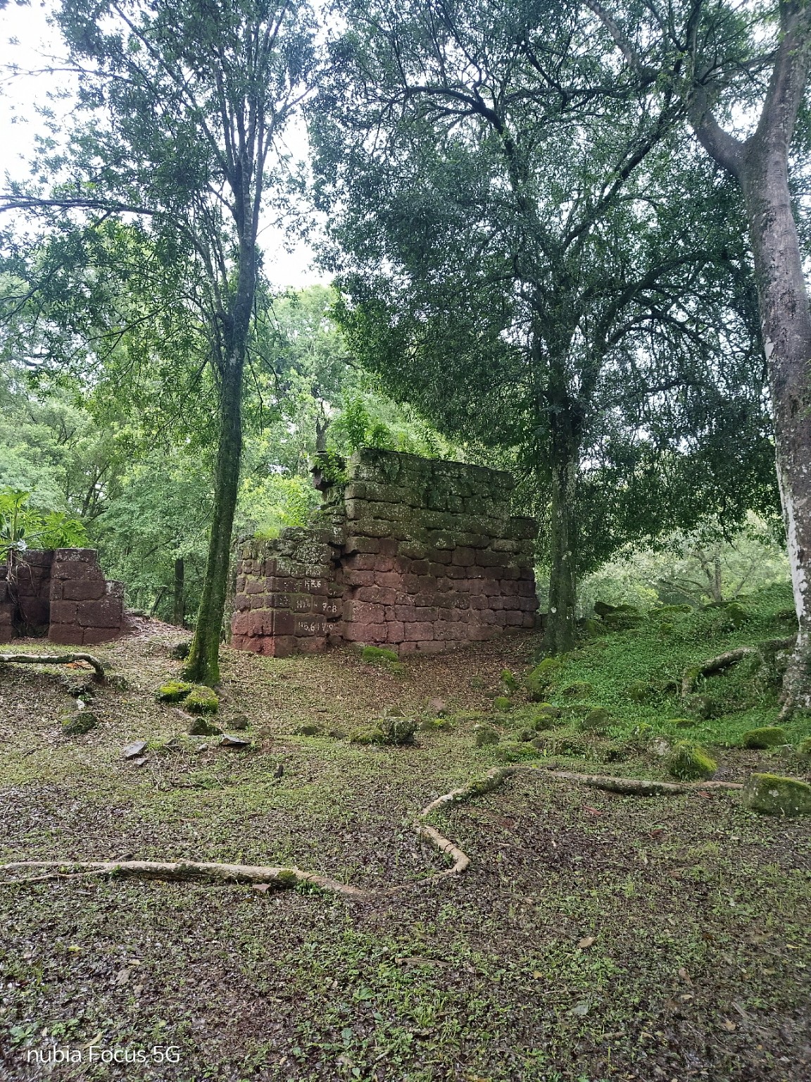 Ruinas de piedra de Nuestra Señora de Loreto entre los árboles