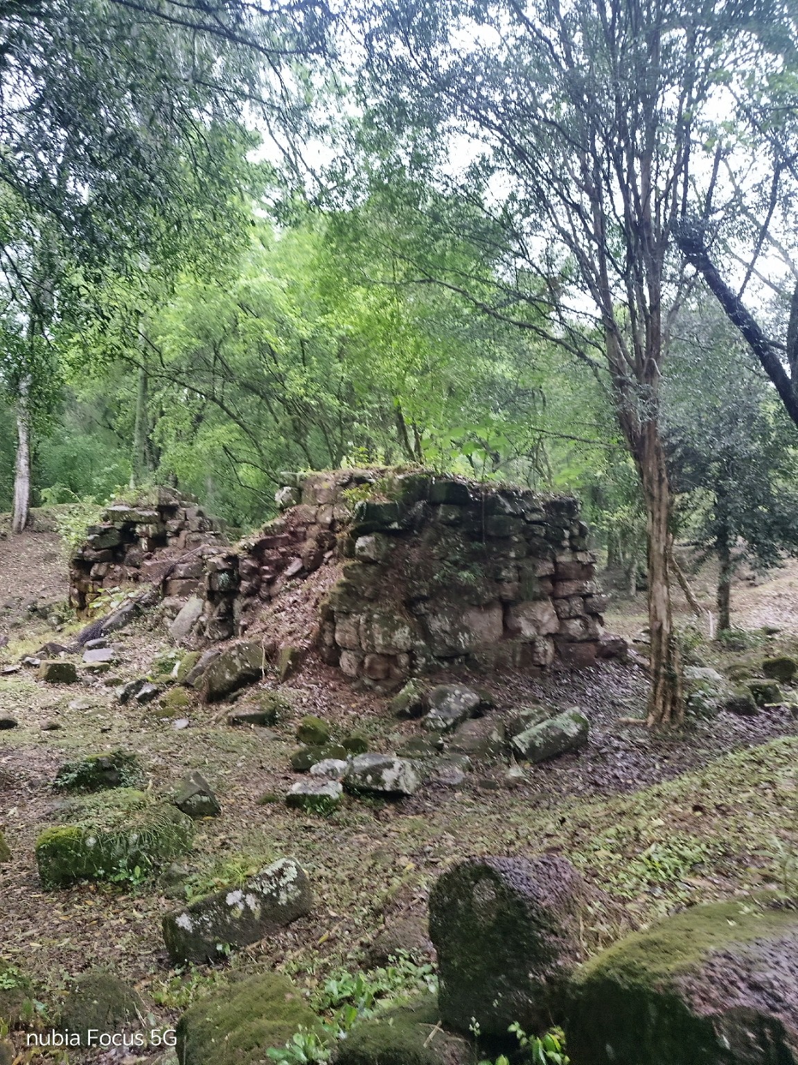 Muros de piedra de Loreto rodeados por la vegetación misionera