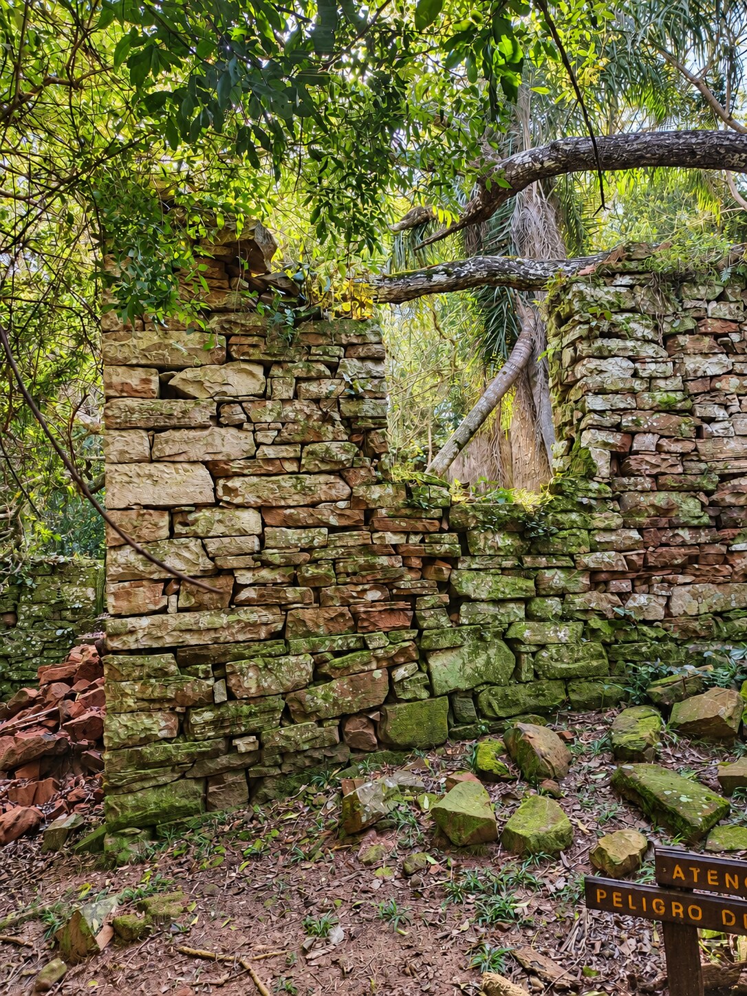 Muros históricos de piedra rodeados por la selva misionera
