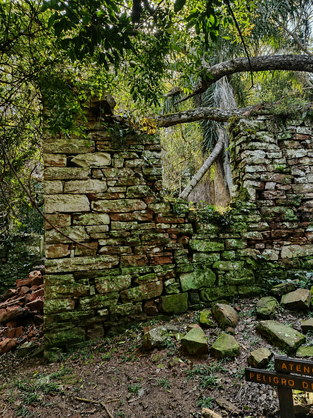 Ruinas cubiertas por la selva en Teyú Cuaré