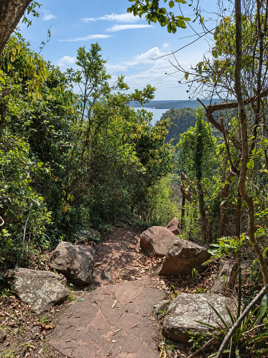 Descenso rocoso entre la vegetación del Sendero del Bosque con el río al fondo