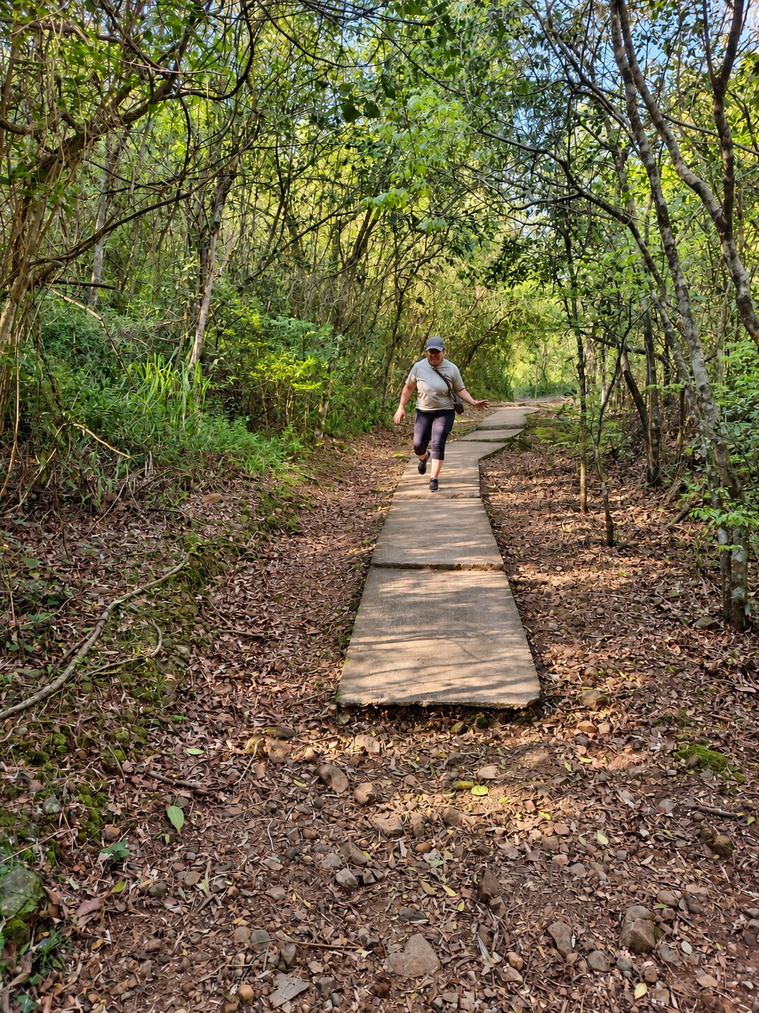 Visitante recorriendo la pasarela entre la vegetación del Sendero del Bosque